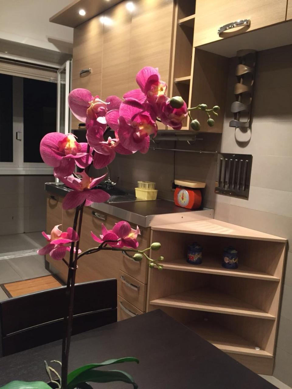 Smart House - Ammiragli2 Apartment Rome Luaran gambar